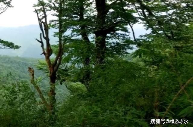 长期便秘怎么办呢？游戏画面