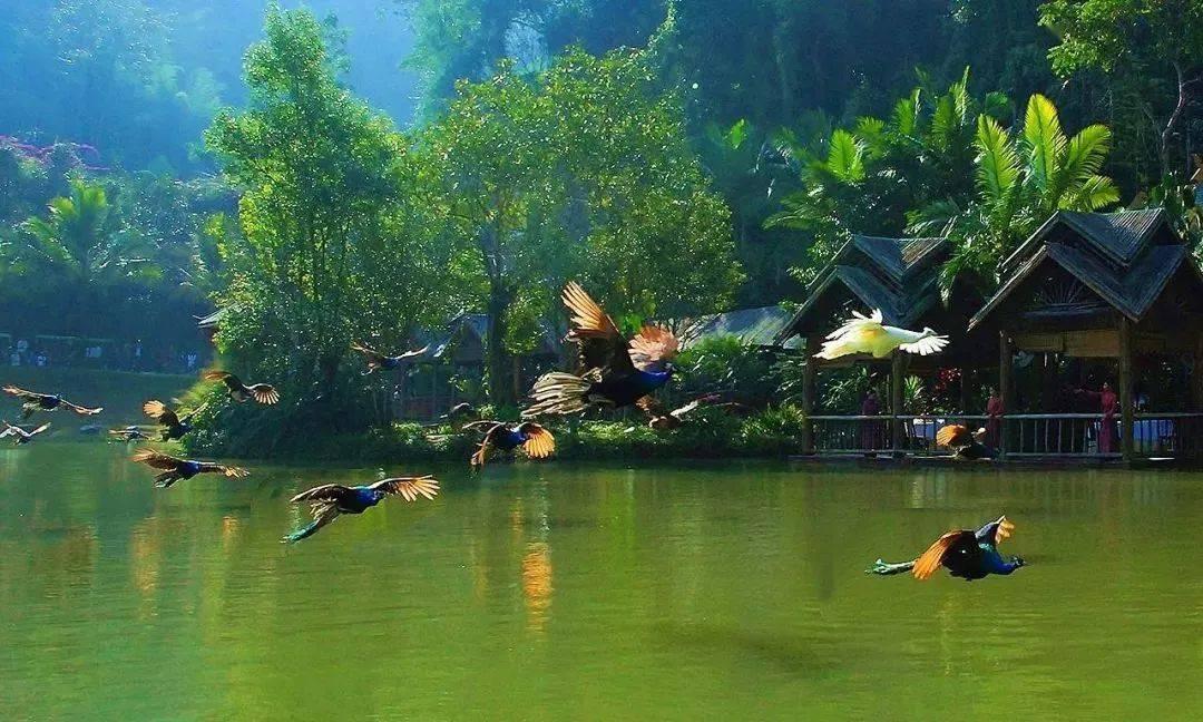 濮阳市五中低学段综合(二)组“复习课立标”教学研讨活动