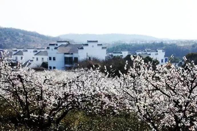 史小坑的爆笑生活11